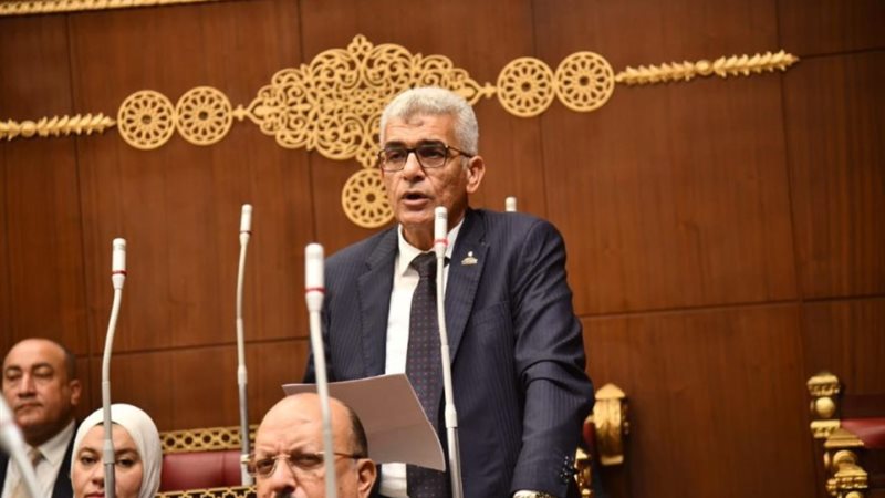 النائب محمد سلامة