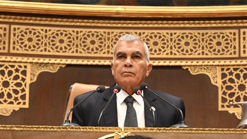 المستشار عصام فريد