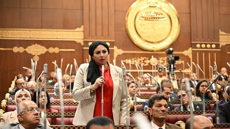 النائبة شيرين صبري