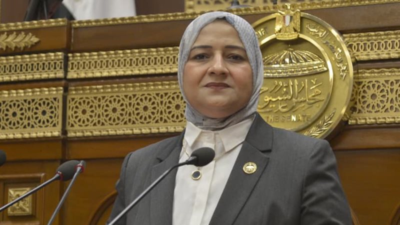 النائبة مروة قنصوة