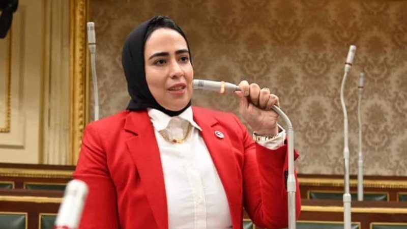النائبة الدكتورة