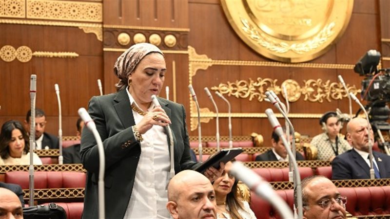 النائبة داليا الأتربي