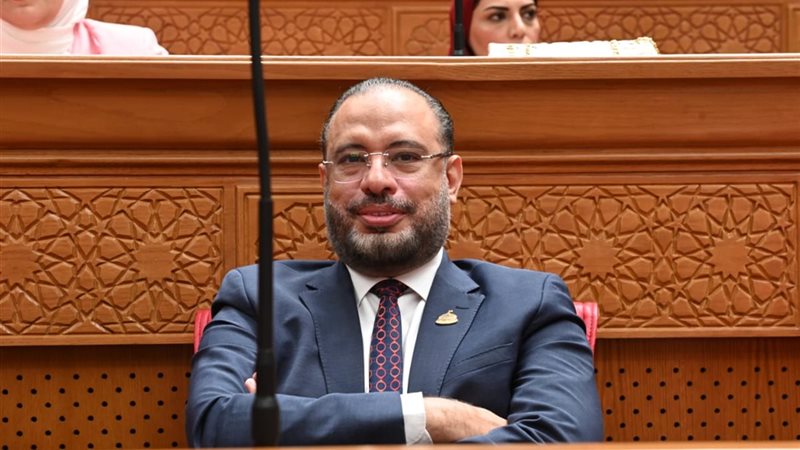 النائب أحمد السبكي
