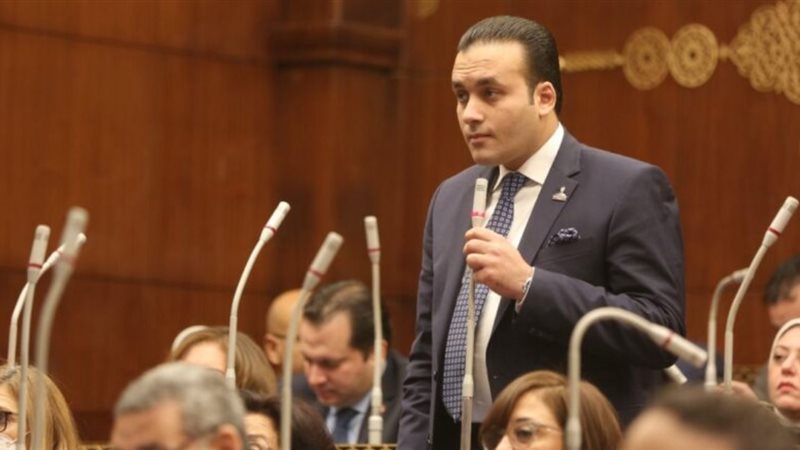 النائب عمرو فهمي