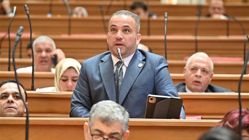 النائب هاني شحاتة