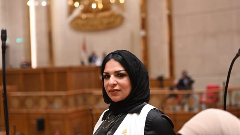 النائبة الدكتورة