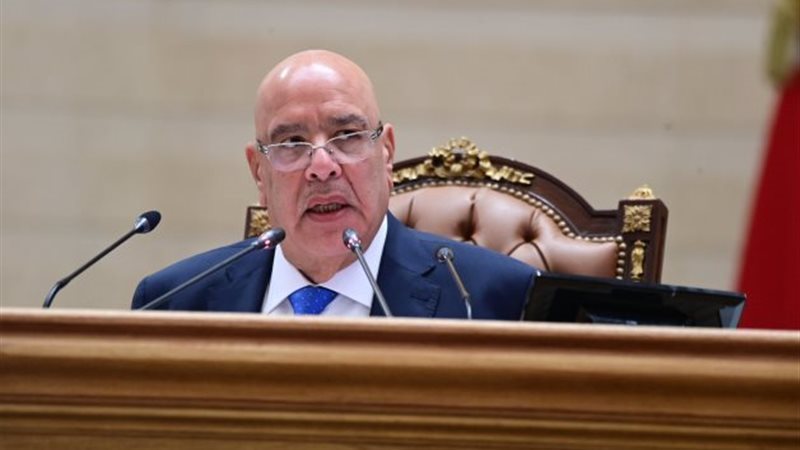 المستشار هشام بدوي