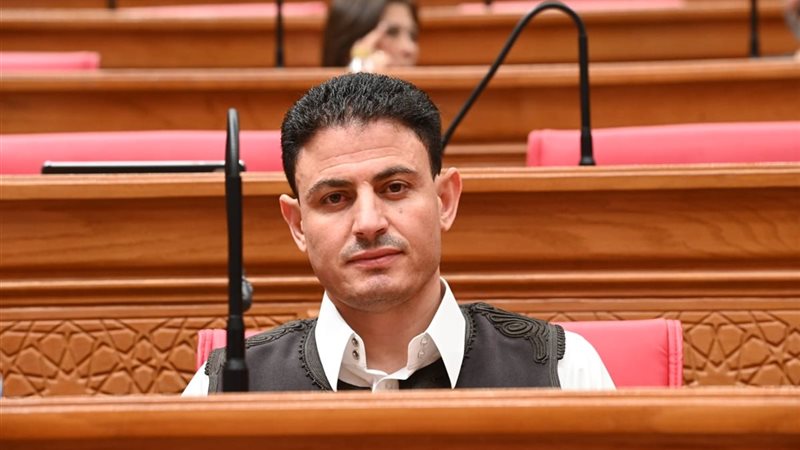 النائب عبدالناصر