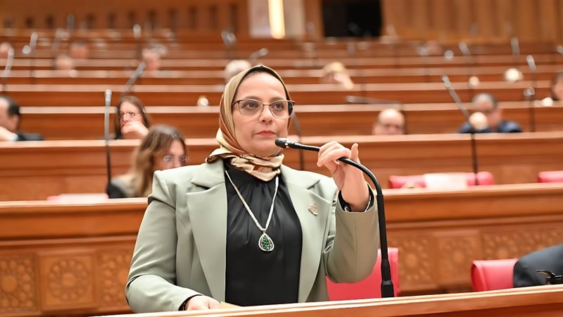 النائبة نجلاء العسيلي