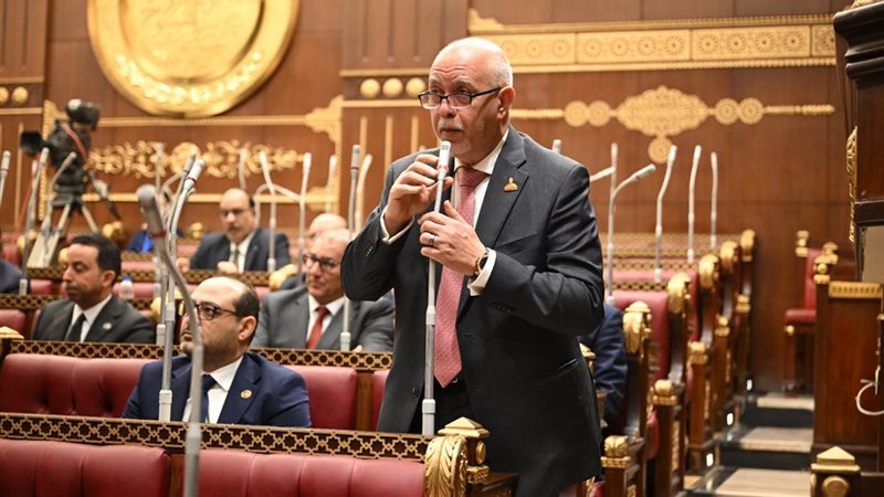 حازم الجندي