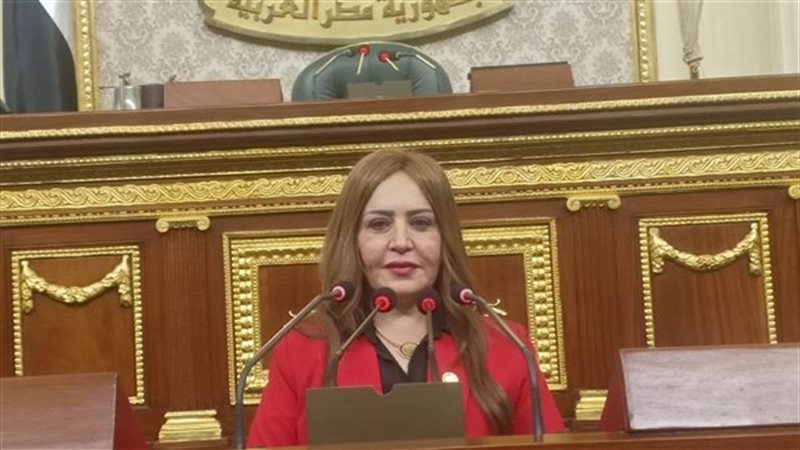 النائبة جيهان البيومي