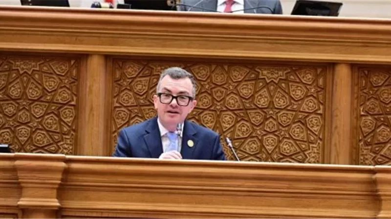 وزير التخطيط