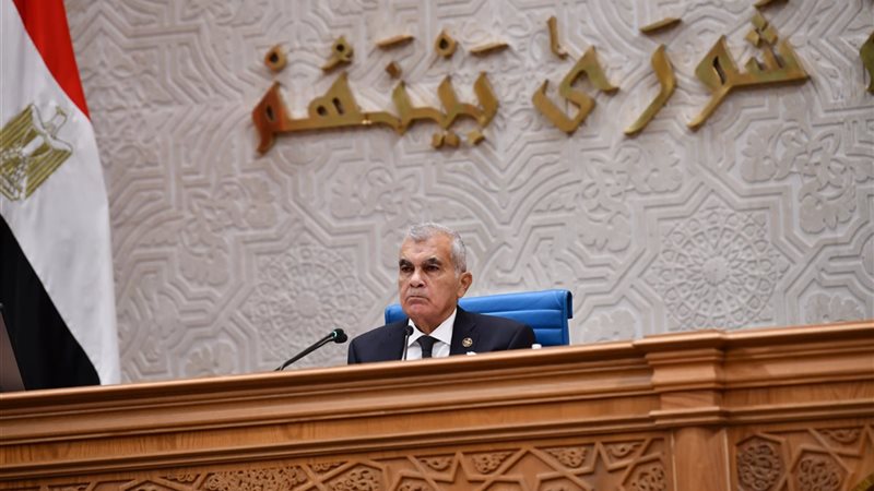 المستشار عصام فريد