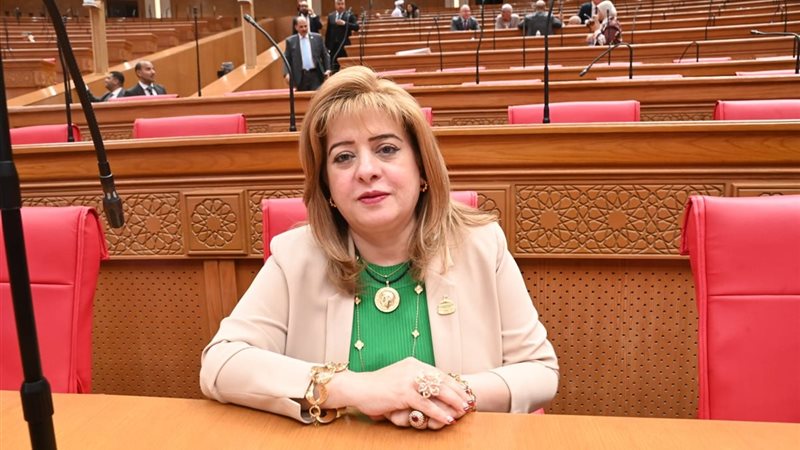  النائبة هناء أنيس