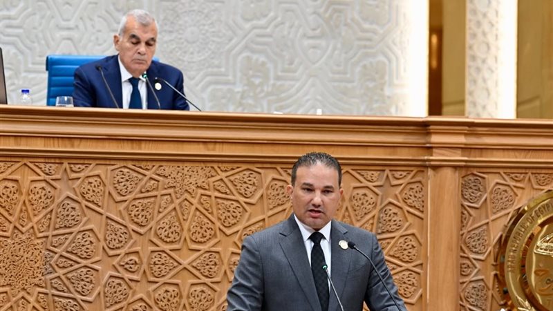  النائب تامر عبد الحميد