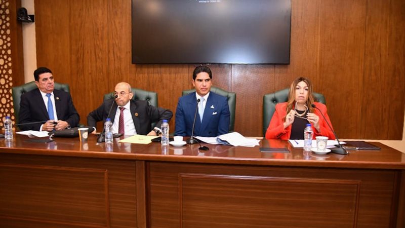 لجنة الشئون الاقتصادية والمالية والاستثمارية