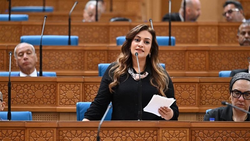  النائبة إيفا فارس