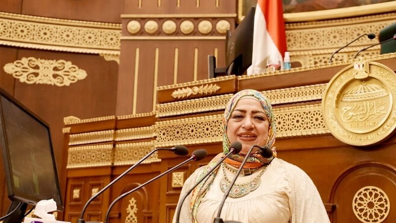 النائبة حنان سليمان
