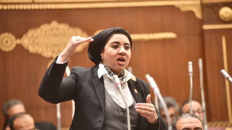 النائبة أميرة صابر