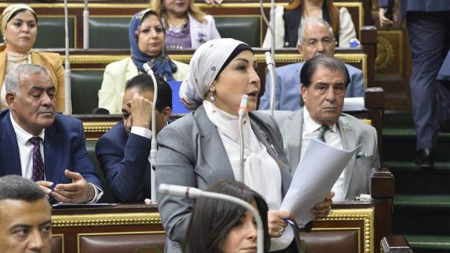 النائبة هالة أبو السعد عضو مجلس النواب