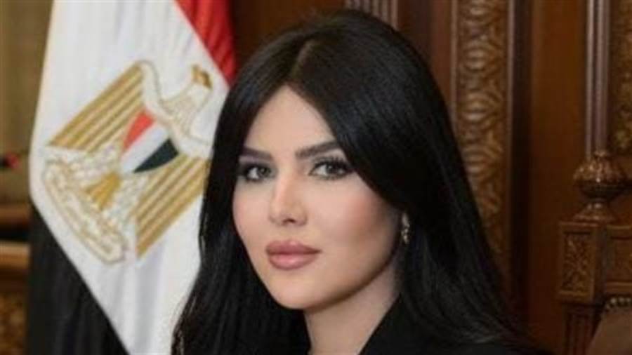 النائبة ريهام أبو الحسن