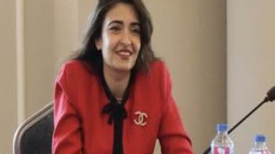 النائبة إيرين سعيد