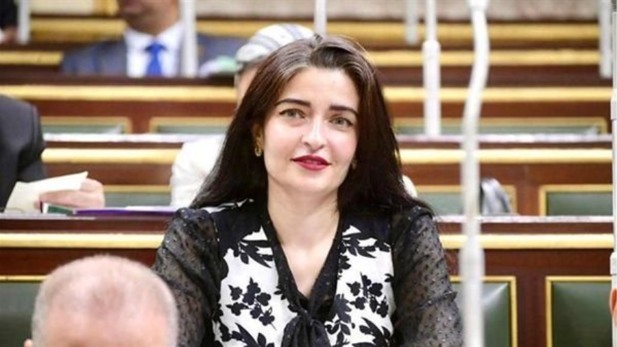 النائبة إيرين سعيد