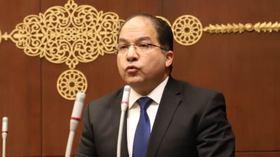 النائب عادل اللمعي