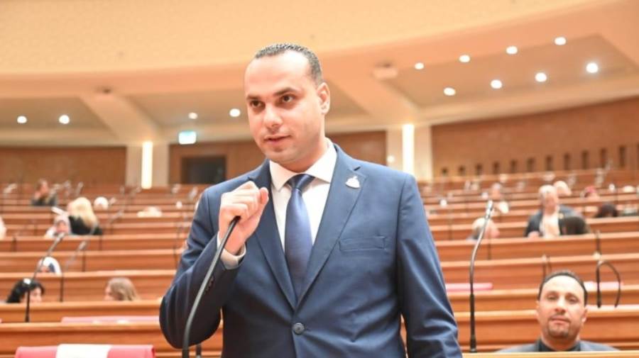 النائب أنس هلول