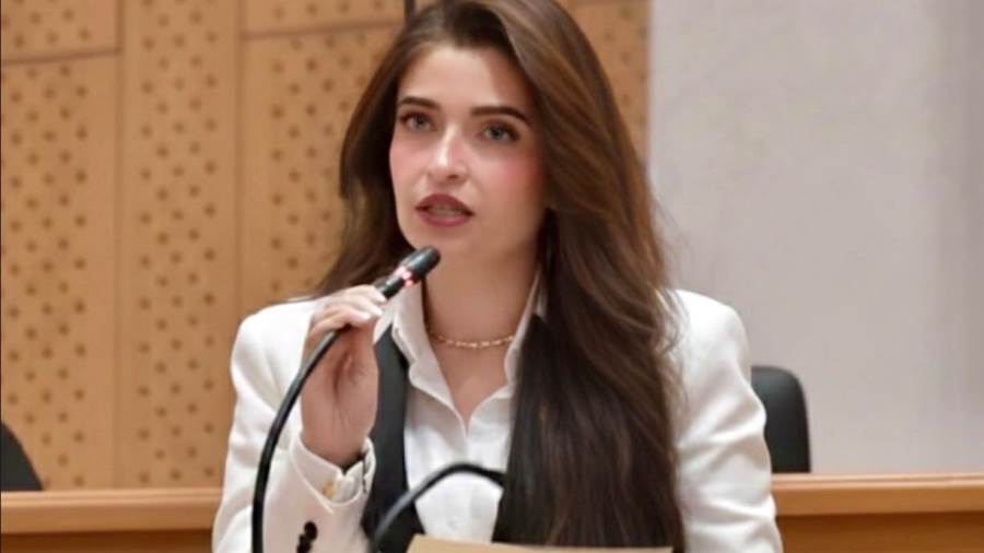 النائبة إيرين سعيد