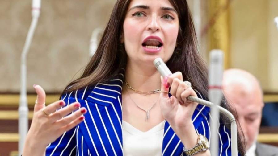 النائبة الدكتورة إيرين سعيد