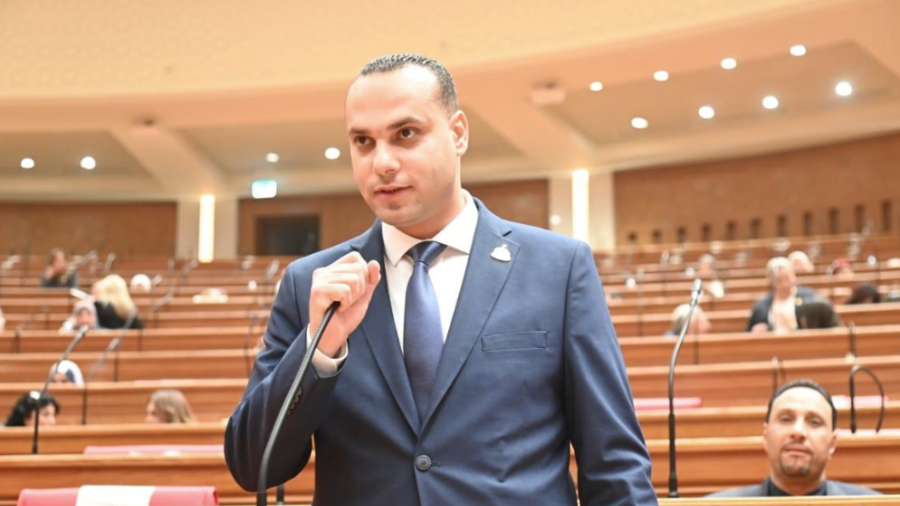 النائب أنس هلول