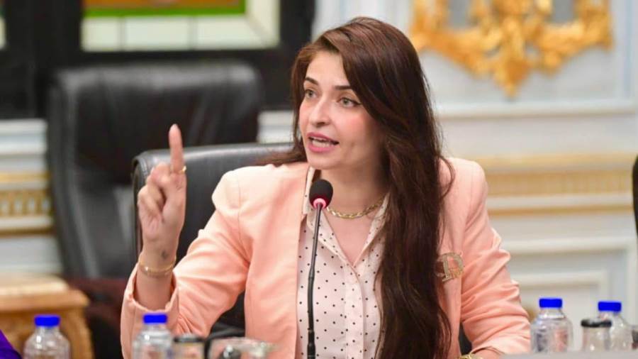 النائبة إيرين سعيد