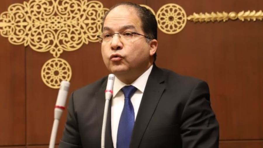 النائب عادل اللمعي