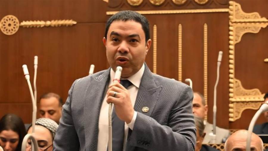 النائب إسماعيل الشرقاوي