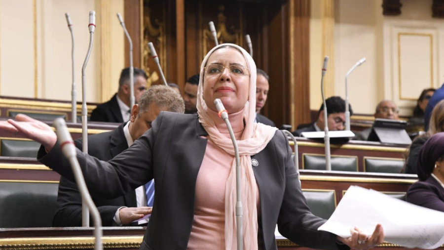 النائبة ريهام عبدالنبي