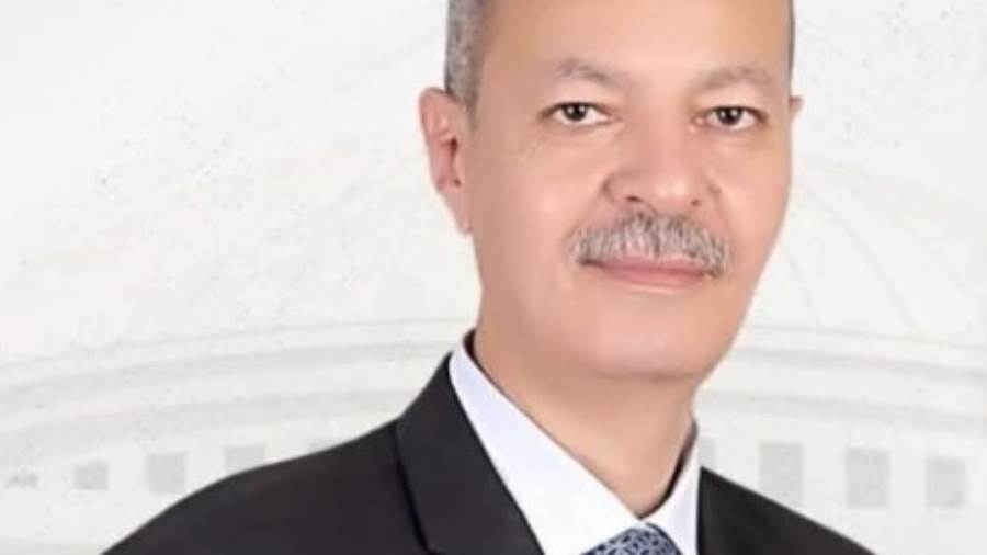 النائب حسن غيته