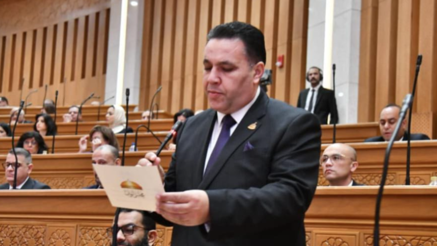 النائب عماد الغنيمي