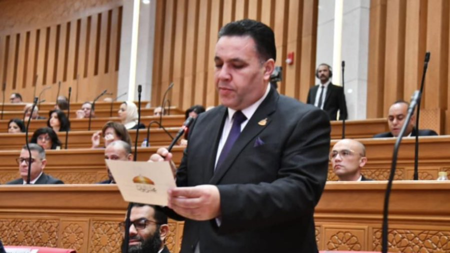 النائب عماد الغنيمي