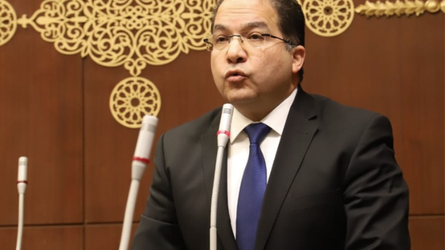 النائب عادل اللمعي