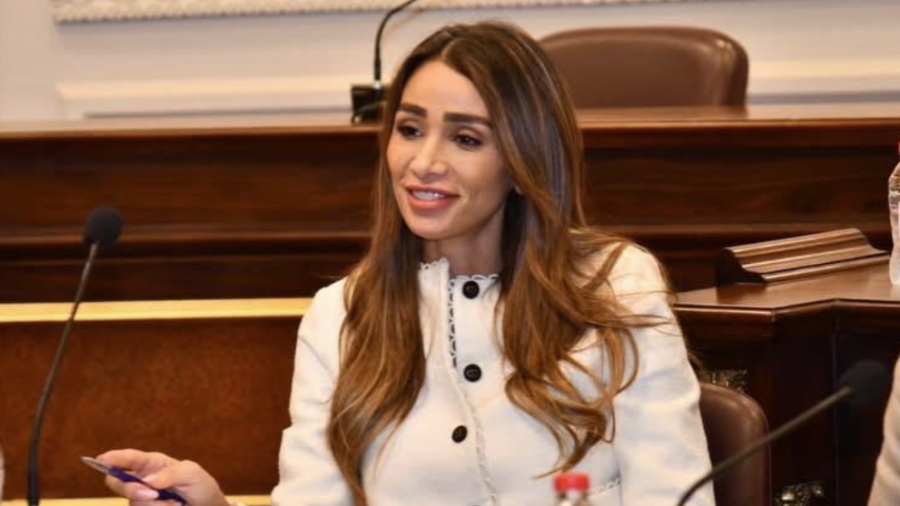 النائبة إنجي نصيف