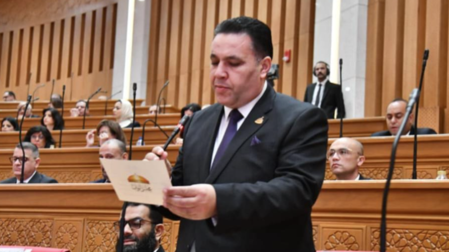 النائب عماد الغنيمي