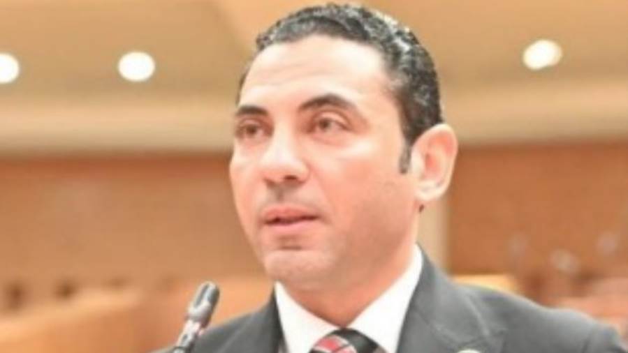النائب محمد فؤاد زغلول