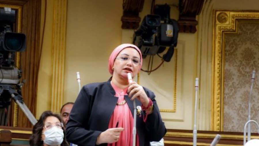 النائبة سولاف درويش