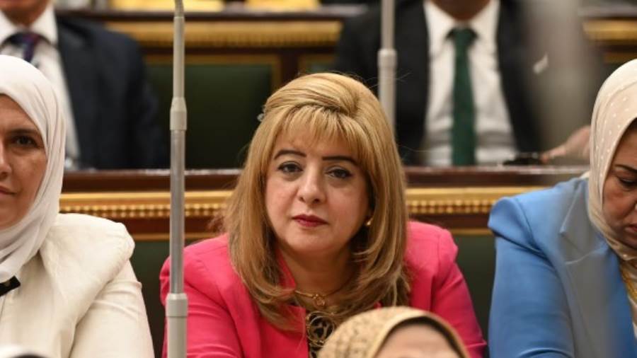 النائبة هناء أنيس رزق