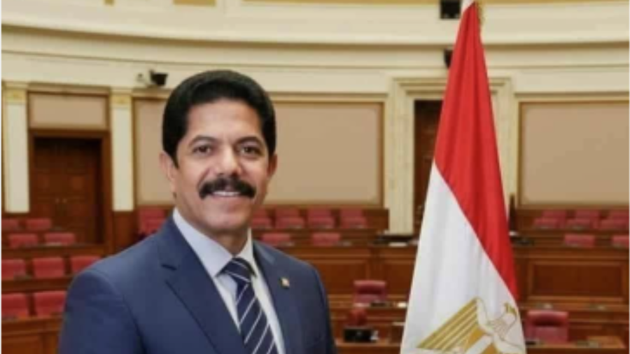 النائب علاء الحديوي