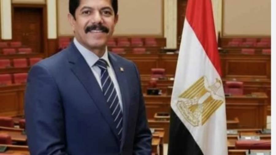 عضو مجلس النواب النائب علاء الحديوي