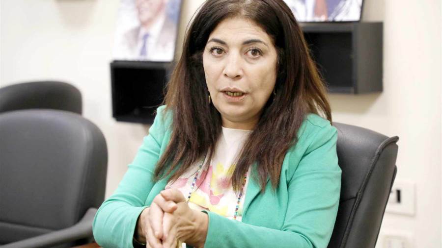 عضو مجلس النوابضحى عاصي