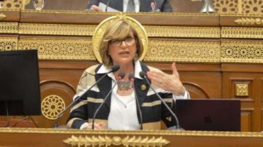 النائبة هبة مكرم