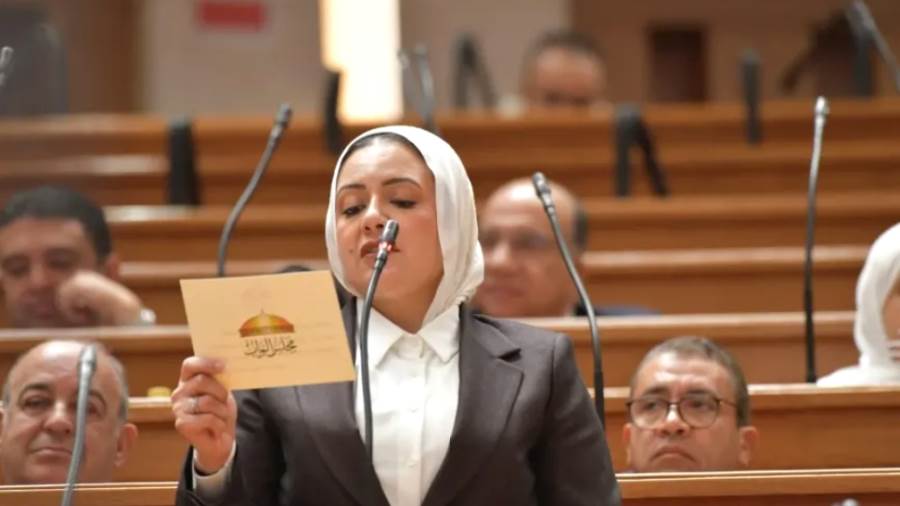 عضو مجلس النواب ريهام عبد النبي